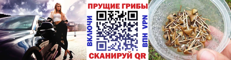 Псилоцибиновые грибы Cubensis  дарк нет формула  Николаевск-на-Амуре 